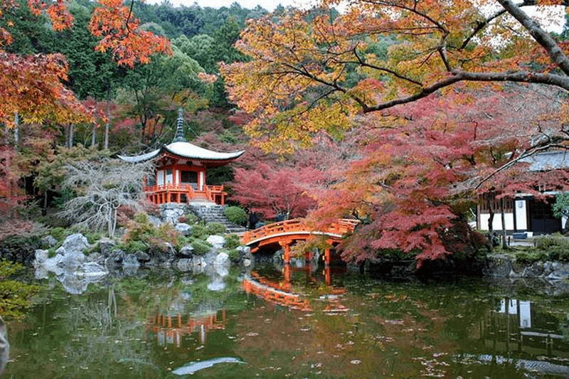 mùa thu kyoto