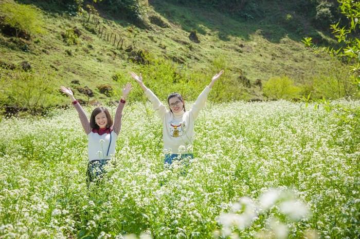 Mùa hoa cải trắng Mộc Châu, du lịch Mộc Châu mùa hoa cải trắng