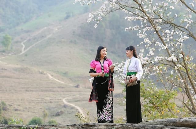 Mùa hoa ban Tây Bắc - Khám phá nét đẹp tinh khôi mãnh liệt vùng cao