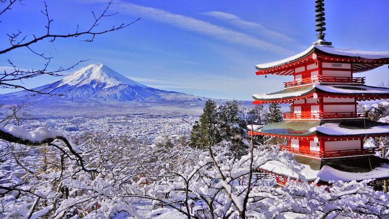 Tour Nhật Bản: Osaka - Kyoto - Núi Phú Sĩ - Tokyo 6 ngày 5 đêm từ Hà Nội - Tết Dương Lịch 2025