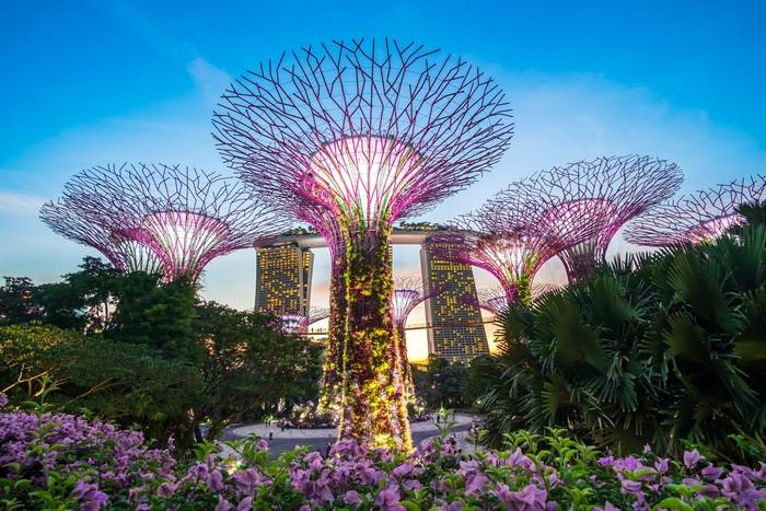 Tour Singapore 3 ngày 2 đêm từ TP.HCM - Tết Dương Lịch 2025