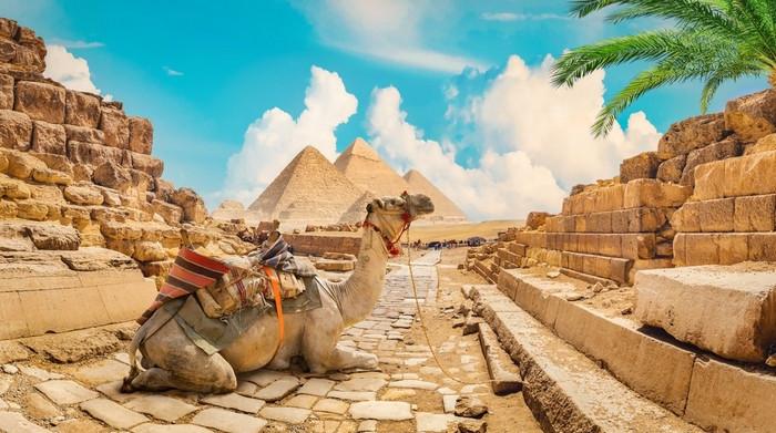 Tour Ai Cập: Cairo - Aswan - Kom Ombo - Edfu - Luxor 8 ngày 7 đêm từ Hà Nội - Tết Nguyên Đán 2025