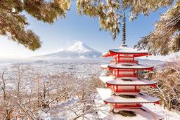 Tour Nhật Bản: Làng Cổ Shirakawago - Núi Phú Sĩ - Tokyo 6 ngày 5 đêm từ Hà Nội - Tết Nguyên Đán 2025