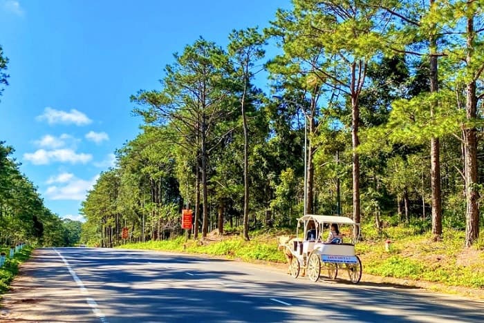 Ảnh du lịch