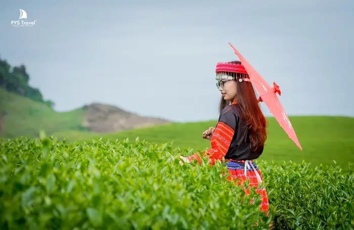 Ảnh du lịch