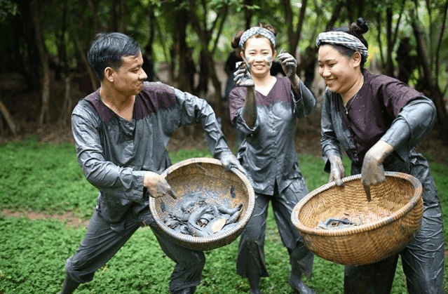 Tour Mỹ Tho - Bến Tre Team building 1 ngày từ TP.HCM