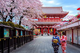 Tour Nhật Bản: Tokyo - Hakone - Kyoto - Osaka - Kobe 7 ngày 6 đêm từ TP.HCM