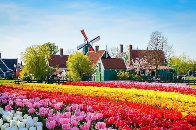 Tour Châu Âu: Đức - Hà Lan - Bỉ - Pháp 9 ngày 8 đêm từ Hà Nội